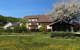 Ferienwohnung Wölfel